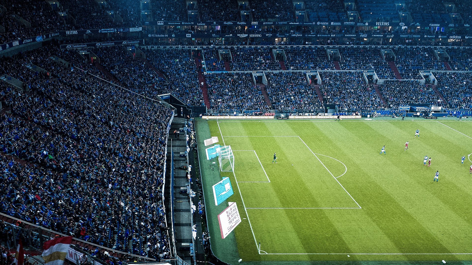 综合体育系“体育教师职业技能大赛” 示范课与实操同比分